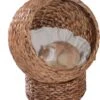 PawHut Kattenmand Rotan Kattennest Kattenbed Met Kussen Huisdierbed Bruin D30-104 1 PawHut Kattenmand Rotan Kattennest Kattenbed Met Kussen Huisdierbed Bruin D30-104 -Kattenbenodigdheden Winkel 1031x1200 4