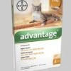Advantage 40 Vlooiendruppels Kat Tot 4 Kg - 4 Pipetten -Kattenbenodigdheden Winkel 1034x1200