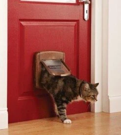 Petsafe Kattenluik 400 - Wit -Kattenbenodigdheden Winkel 1069x1200