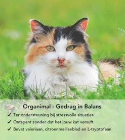 Gedrag In Balans - Kat - O.a. Bij Stress En Angst - 45 Tabletten A 400mg -Kattenbenodigdheden Winkel 1071x1200 1