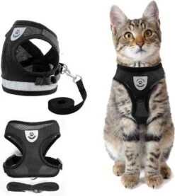 Merkloos Kattentuigje Met Looplijn | Zwart Kattenharnas| Easy Step In | Kattenriem | Kattenlijn | Kattentuig | Maat M 7 Merkloos Kattentuigje Met Looplijn | Zwart Kattenharnas| Easy Step In | Kattenriem | Kattenlijn | Kattentuig | Maat M -Kattenbenodigdheden Winkel 1071x1200 4