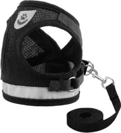 Merkloos Kattentuigje Met Looplijn | Zwart Kattenharnas | Easy Step In | Kattenriem | Kattenlijn | Kattentuig | Maat S -Kattenbenodigdheden Winkel 1089x1200 1