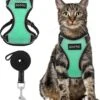 Kattentuigje Met Leiband Riem Kattenharnas Groen Maat L Kat & Kitten - Dieren Kattenriem - Cat Leash - Halsomvang 24 Tot 33cm - Borstomvang 36 Tot 41cm - Zootic® -Kattenbenodigdheden Winkel 1091x1200