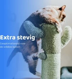 ACE Pets Reflecterende Kattenhalsband Met Veiligheidssluiting – Halsband Kat & Kitten - Met Adreskoker - Kittenhalsband & Kattenbandje Met Belletje - Zwart -Kattenbenodigdheden Winkel 1099x1200 4