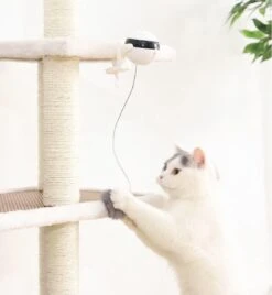 Merkloos Kattenspeelgoed - Katten Speelgoed - Katten Speeltje - Katten Bal - Katten - Kattenhengel - Kitten Speelgoed - Kattenspeeltjes - Elektrische - Muis - Automatische Hengel - Bal - Poes - Katten - Prooi - Kat - Poesjes - Interactief Kattenspeelgoed -Kattenbenodigdheden Winkel 1105x1200 3