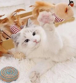 GIZMO Luxe Kattenspeeltjes Set - 7 Speeltjes - Interactieve Kattenhengel, Kattenspeelgoed & Speelmuisjes - Kitten Speeltjes -Kattenbenodigdheden Winkel 1108x1200 1