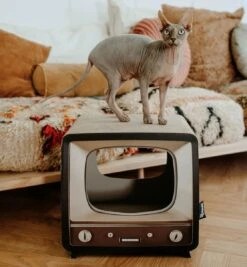 District 70 TELLY - Retro TV Krabmeubel - Instagrammable Kartonnen TV Voor Katten - 39 X 27 X 37 Cm 18 District 70 TELLY - Retro TV Krabmeubel - Instagrammable Kartonnen TV Voor Katten - 39 X 27 X 37 Cm -Kattenbenodigdheden Winkel 1112x1200 2