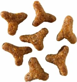 Smolke Kitten 4 Kg - Kat 32 Smolke Kitten 4 Kg - Kat -Kattenbenodigdheden Winkel 1121x1200 3