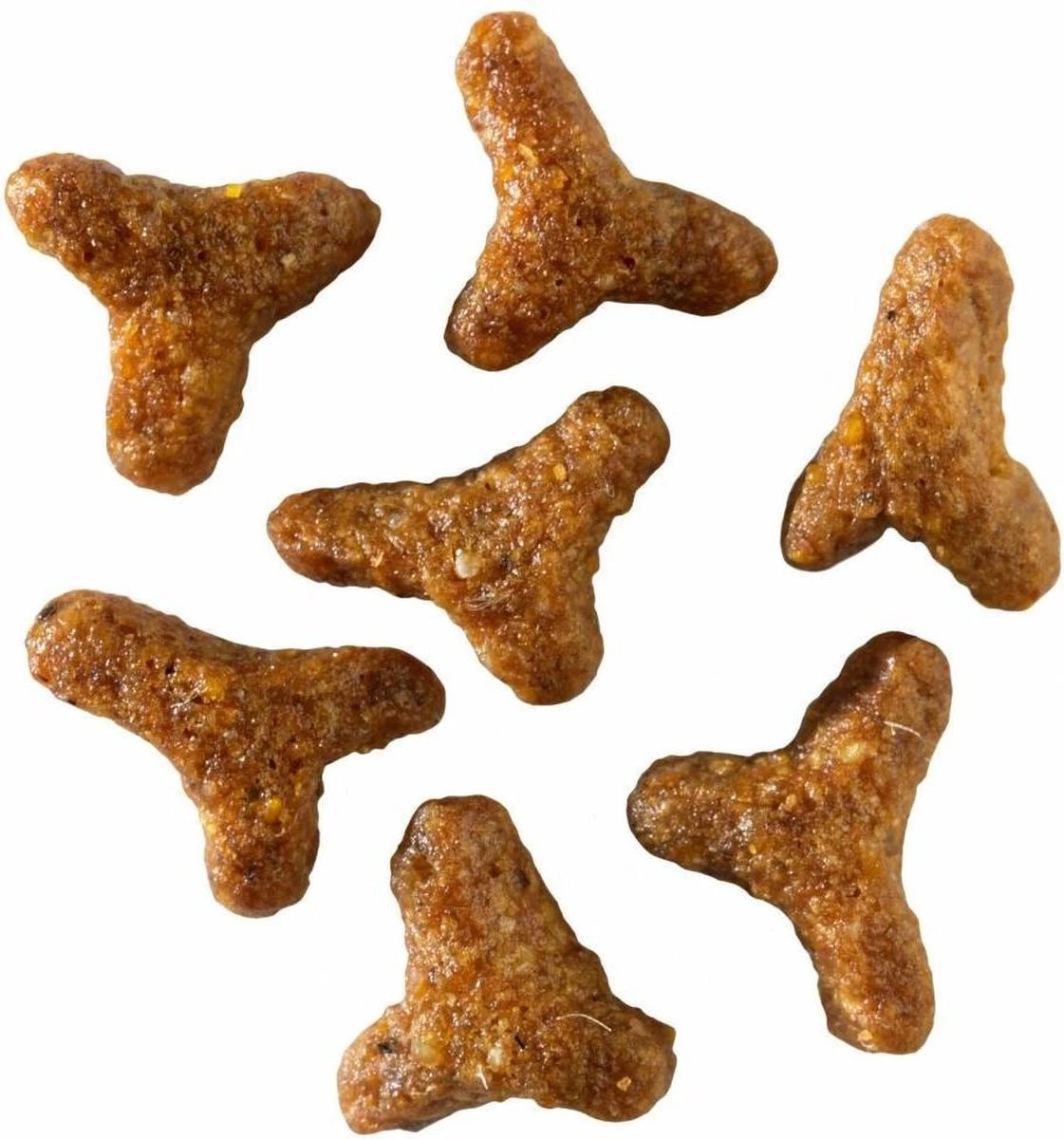 Smolke Kitten 4 Kg - Kat 13 Smolke Kitten 4 Kg - Kat - Afbeelding 11