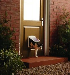 Petsafe 700 Kattenluik - S - Wit - 18.5 X 15.8 Cm -Kattenbenodigdheden Winkel 1122x1200 3