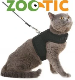 Zootic Kattentuigje Met Leiband Riem Kattenharnas Zwart Maat M Kat & Kitten - Halsomvang 20 Tot 26cm - Borstomvang 30 Tot 34cm -Kattenbenodigdheden Winkel 1135x1200 3