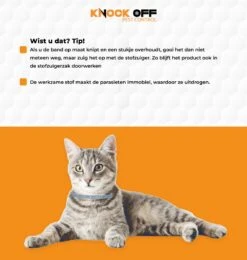 Knock Off Vlooien-tekenband – 100% Natuurlijke Vlooienbestrijding - Zonder Schadelijke Pesticiden Of Gif – Effectief Tot 4 Maanden – Nederlands- En Franstalige Handleiding – Regen- En Waterbestendig - Geschikt Voor Katten – 35 Cm 8 Knock Off Vlooien-tekenband – 100% Natuurlijke Vlooienbestrijding - Zonder Schadelijke Pesticiden Of Gif – Effectief Tot 4 Maanden – Nederlands- En Franstalige Handleiding – Regen- En Waterbestendig - Geschikt Voor Katten – 35 Cm -Kattenbenodigdheden Winkel 1139x1200 1
