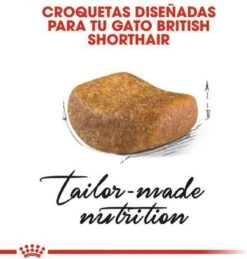 Royal Canin British Shorthair Adult - Kattenvoer - 2 Kg -Kattenbenodigdheden Winkel 1146x1200 1