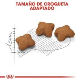 Royal Canin Kitten Sterilised - Kattenvoer - 3,5 Kg -Kattenbenodigdheden Winkel 1151x1200 8