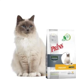 Prins VitalCare Protection Indoor Kattenvoer 5 Kg 16 Prins VitalCare Protection Indoor Kattenvoer 5 Kg -Kattenbenodigdheden Winkel 1153x1200 3