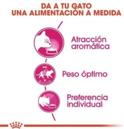 ROYAL CANIN® Aroma Exigent - Kattenvoer - 400 Gram -Kattenbenodigdheden Winkel 1154x1200 5