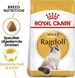 Royal Canin Ragdoll Adult - Kattenvoer - 2 Kg -Kattenbenodigdheden Winkel 1159x1200 2