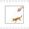 Merkloos EPIN | Kat Laserlampje | Kattenspeelgoed | Laserlamp |Met Mini Zaklamp 2 In 1 | Batterijen Inbegrepen | ZWART -Kattenbenodigdheden Winkel 1164x1200 5
