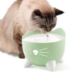Catit Pixi Fountain - Kattendrinkbak - 20x20x16 Cm Groen -Kattenbenodigdheden Winkel 1167x1200 3