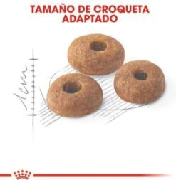 Royal Canin Fit 32 - Kattenvoer - 10 Kg -Kattenbenodigdheden Winkel 1173x1200 2