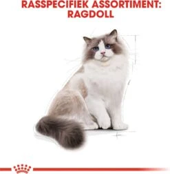 Royal Canin Ragdoll Adult - Kattenvoer - 2 Kg -Kattenbenodigdheden Winkel 1177x1200 3