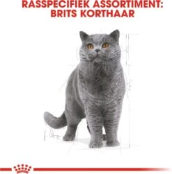 Royal Canin British Shorthair Adult - Kattenvoer - 4 Kg -Kattenbenodigdheden Winkel 1179x1200 13