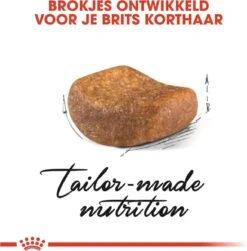 Royal Canin British Shorthair Adult - Kattenvoer - 4 Kg -Kattenbenodigdheden Winkel 1179x1200 14