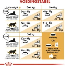 Royal Canin British Shorthair Adult - Kattenvoer - 4 Kg -Kattenbenodigdheden Winkel 1179x1200 15