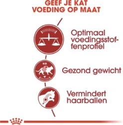 Royal Canin Fit 32 - Kattenvoer - 10 Kg -Kattenbenodigdheden Winkel 1179x1200 16