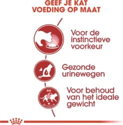 Royal Canin Instinctive - Kattenvoer - 12 X 85 G 16 Royal Canin Instinctive - Kattenvoer - 12 X 85 G -Kattenbenodigdheden Winkel 1179x1200 5