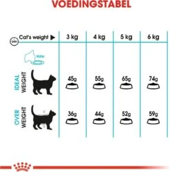 Royal Canin Urinary Care - Kattenvoer - 10 Kg -Kattenbenodigdheden Winkel 1180x1200 4