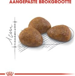 Royal Canin Outdoor 7+ - 4 Kg 20 Royal Canin Outdoor 7+ - 4 Kg -Kattenbenodigdheden Winkel 1184x1200 2