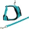 Trixie Kattentuig Mesh Y-vorm Met Elastische Riem (36-60X100 CM) -Kattenbenodigdheden Winkel 1186x1200 3