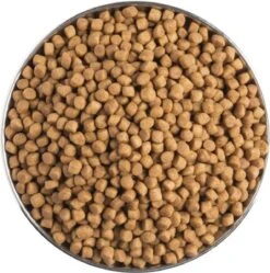 Pro Plan Veterinary Diets Feline Gastro-intestinal - Kattenvoer- 5kg -Kattenbenodigdheden Winkel 1188x1200 6