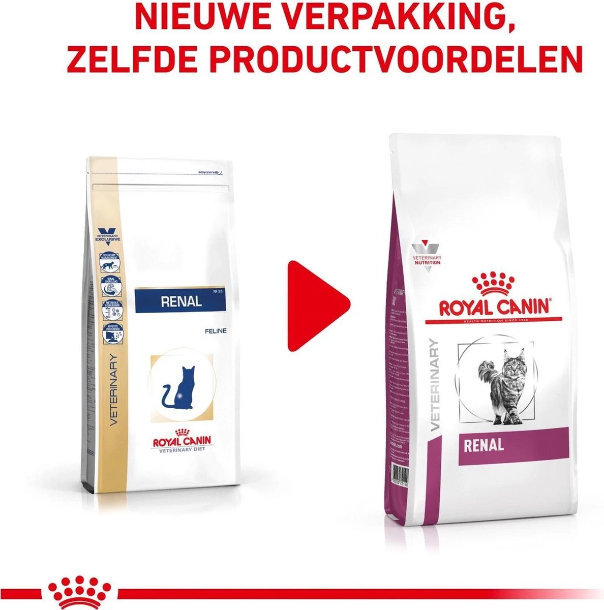 Royal Canin Renal - Kattenvoer - 4 Kg 4 Royal Canin Renal - Kattenvoer - 4 Kg - Afbeelding 2
