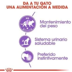 Royal Canin Sterilised In Jelly - Kattenvoer - 1020 G -Kattenbenodigdheden Winkel 1197x1200 6