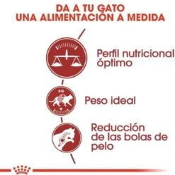 Royal Canin Fit 32 - Kattenvoer - 10 Kg -Kattenbenodigdheden Winkel 1197x1200 8