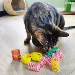 Moowi - Springveren 30 Stuks - Kat - Kattenveertjes - Kattenspeelgoed -Kattenbenodigdheden Winkel 1199x1200 8