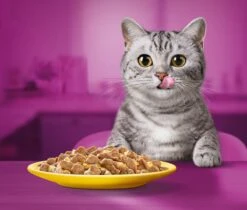 Whiskas 1+ Natvoer - Gevogelte - Selectie In Gelei - Maaltijdzakjes 80 X 85 G 11 Whiskas 1+ Natvoer - Gevogelte - Selectie In Gelei - Maaltijdzakjes 80 X 85 G -Kattenbenodigdheden Winkel 1200x1019 2