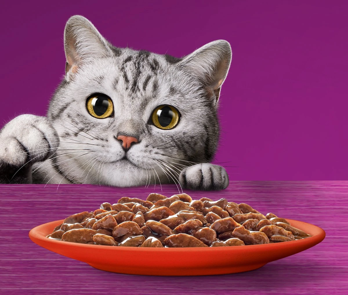 Whiskas 7+ Natvoer - Classic - Selectie In Saus - Maaltijdzakjes 48 X 85 G 6 Whiskas 7+ Natvoer - Classic - Selectie In Saus - Maaltijdzakjes 48 X 85 G - Afbeelding 4