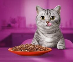 Whiskas 1+ Natvoer - Classic - Selectie In Saus - Maaltijdzakjes 40 X 85 G -Kattenbenodigdheden Winkel 1200x1019 4