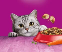 Whiskas 1+ Kattenbrokken - Rund - Doos 5 X 950 G -Kattenbenodigdheden Winkel 1200x1019 5