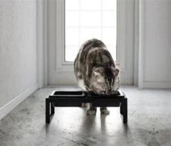 Yamazaki Eetbak - Voederbak Kat - Tweeledig - Zwart -Kattenbenodigdheden Winkel 1200x1025 2