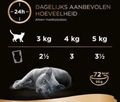 Sheba Mini Filets In Saus Kattenvoer Maaltijdzakjes Gevogelte 40 X 85 G -Kattenbenodigdheden Winkel 1200x1027 1
