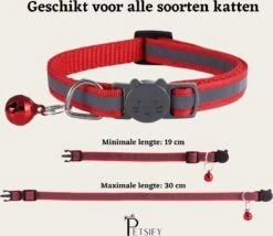 Petsify - Kattenhalsband Met Belletje - Veiligheidssluiting - Reflecterend - Halsband Kat - Halsband Kitten - Set Van 11 -Kattenbenodigdheden Winkel 1200x1038 1