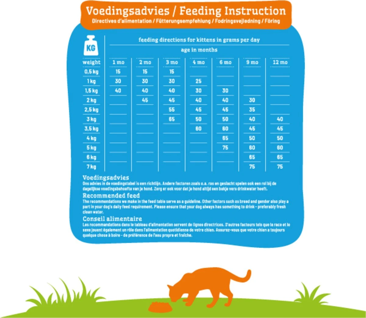 Smolke Kitten 4 Kg - Kat 10 Smolke Kitten 4 Kg - Kat - Afbeelding 8