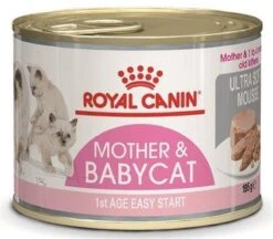 Royal Canin Wet Mother & Babycat Mousse - Kattenvoer - 195 Gr -Kattenbenodigdheden Winkel 1200x1047 5