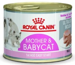 Royal Canin Wet Mother & Babycat Mousse - Kattenvoer - 195 Gr -Kattenbenodigdheden Winkel 1200x1048 1