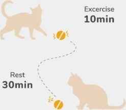 Cheerble Mini Ball 2.0 - Slimme Interactieve Zelf Rollende Bal Voor Katten - 3 Speelmodi - Kattenspeeltjes - USB Oplaadbaar - Rood -Kattenbenodigdheden Winkel 1200x1051