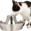 PetSafe® Seaside Stainless Steel Pet Fountain - RVS Drinkfontein Voor Katten En Kleine Honden - Water Borrelt Zacht Over De Toren - Door Het Design Van Alle Kanten Bereikbaar - 1,8 Liter - PetSafe Seaside 1 PetSafe® Seaside Stainless Steel Pet Fountain - RVS Drinkfontein Voor Katten En Kleine Honden - Water Borrelt Zacht Over De Toren - Door Het Design Van Alle Kanten Bereikbaar - 1,8 Liter - PetSafe Seaside -Kattenbenodigdheden Winkel 1200x1055 1